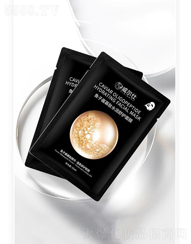 �������~���u������Ĥ   ��Ч��đ���o(h��)