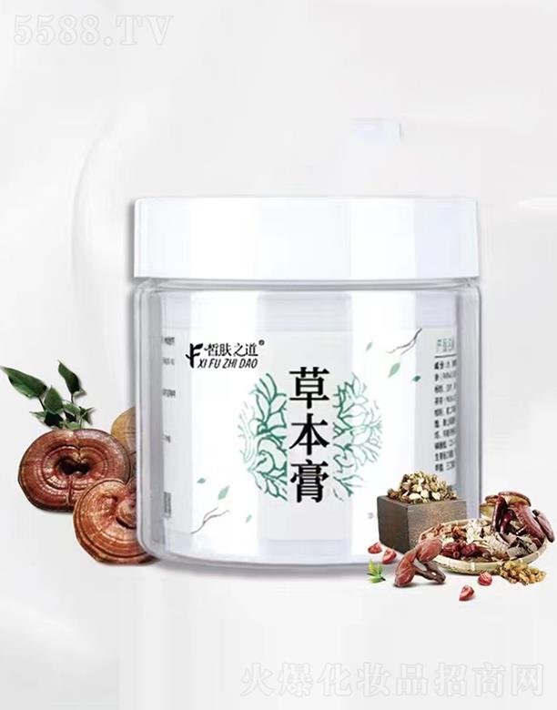 ��w֮���ݱ��� ��������