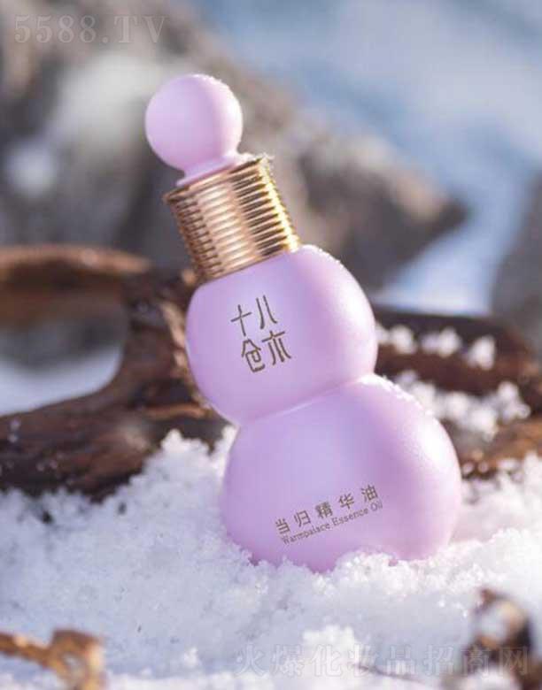 ʮ�˂}ľ���w���A��