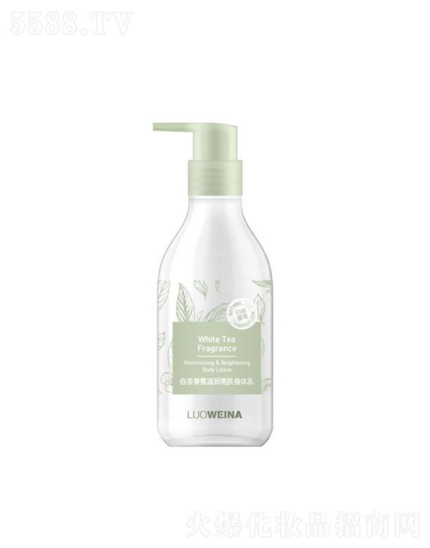 �V����¶��  �_�S�Ȱײ�����̝����w���w��  300g   ˮ������