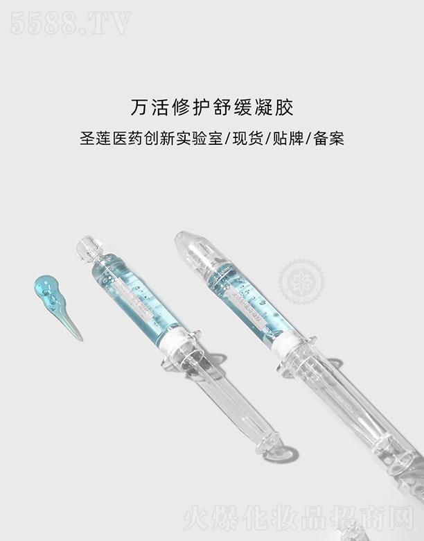 �V��ʥɏ  ʥɏ�f(w��n)�����o(h��)����    ���t���o(h��)