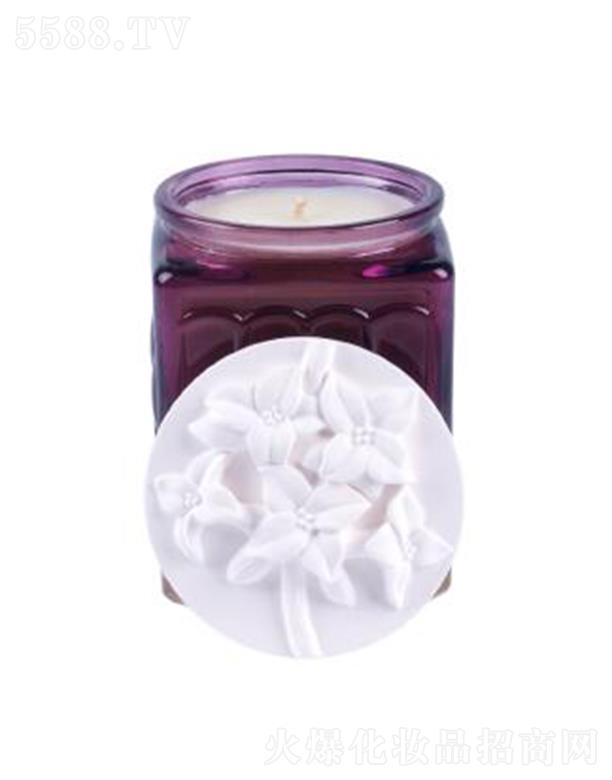 ROYAL APOTHIC�����������Ϟ�T