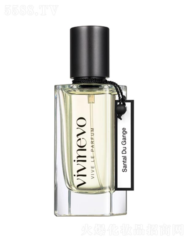 vivinevo���̴��