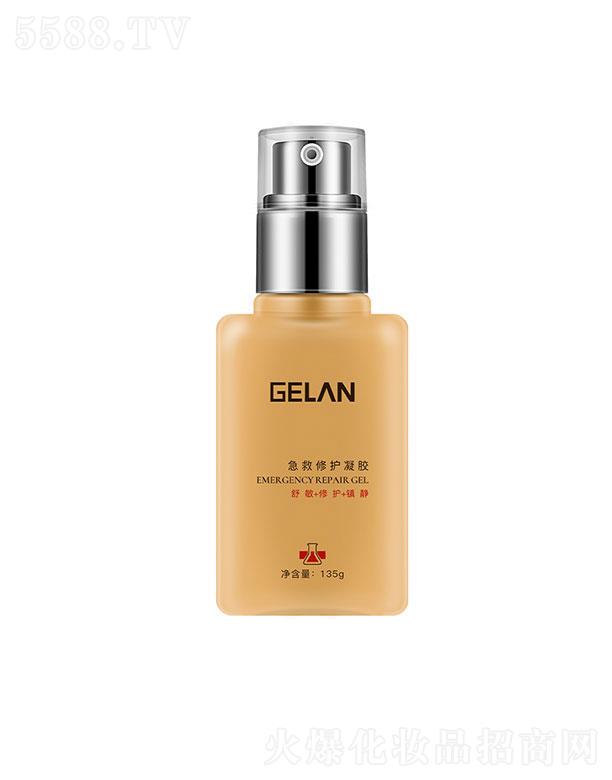 ���{�����ޏ�(f��)���z