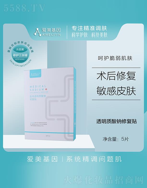 ���������t(y��)��͸���|(zh��)���c�ޏ�(f��)�N