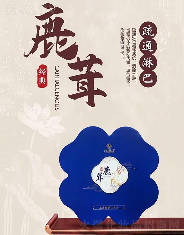 ����������B(y��ng)�۲���