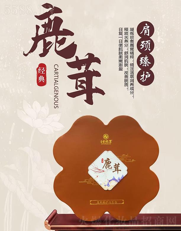 �������¹�����o(h��)�۲���