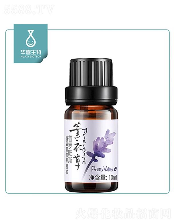 �Aϲ����޹�²ݾ���