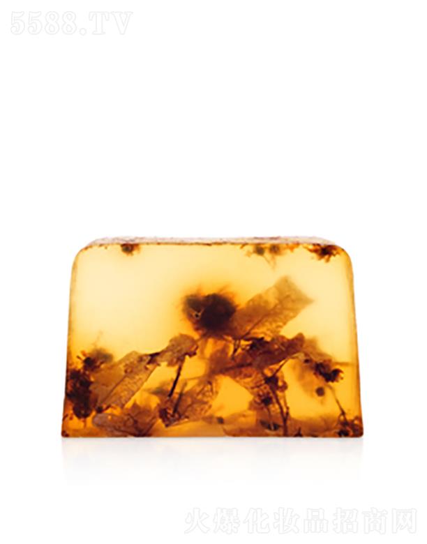 STENDERS���Ứ��