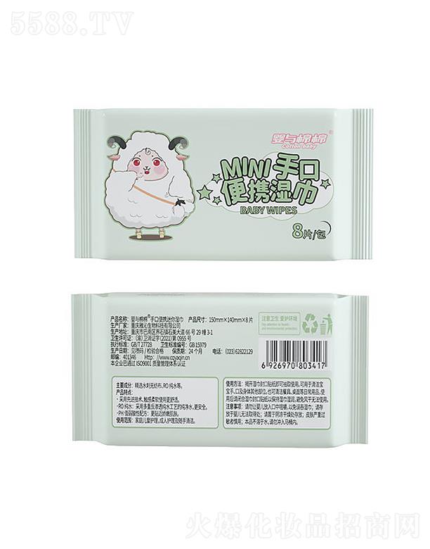 �ؑc��������Ƽ����޹�˾�����c���ދ��׃��ֿ�MINI��y���