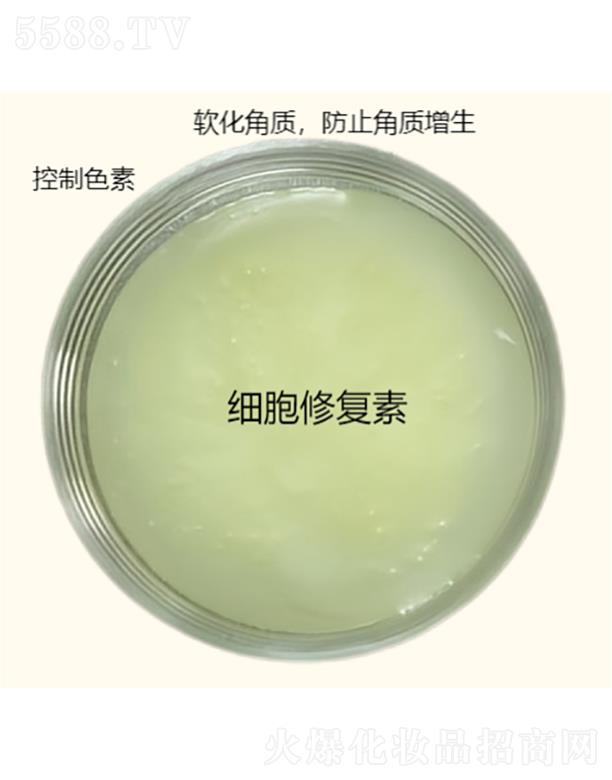 ��(x��)���ޏ�(f��)��