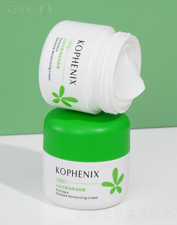 ���P���R�X�{����������˪