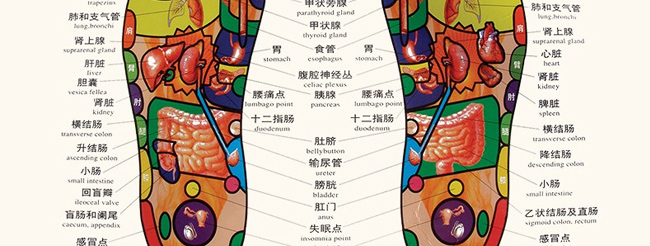 ���B(y��ng)Ԋ(sh��)���ˎѬ������ԡ����ԡ��