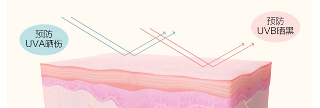 ���{(l��n)�����x����