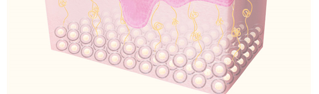 ���{(l��n)�����x����