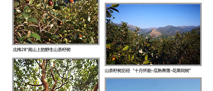 ���ϼ���-ɽ�����{(di��o)������