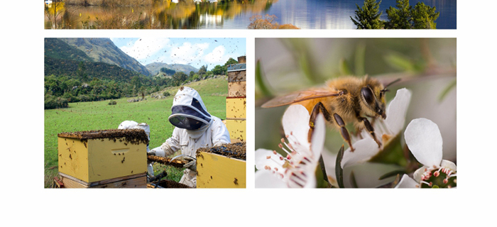 ؐ��ޱԊ(sh��)�������R��������˪