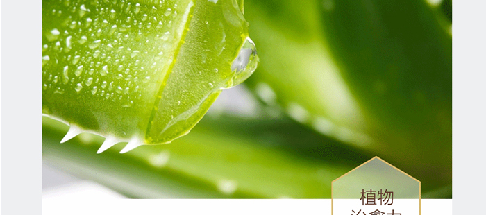 ؐ��ޱԊ�������R���a(b��)ˮ�ޏ�(f��)���A