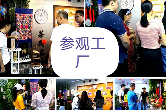 茶氏家族頭療 茶氏家族頭療