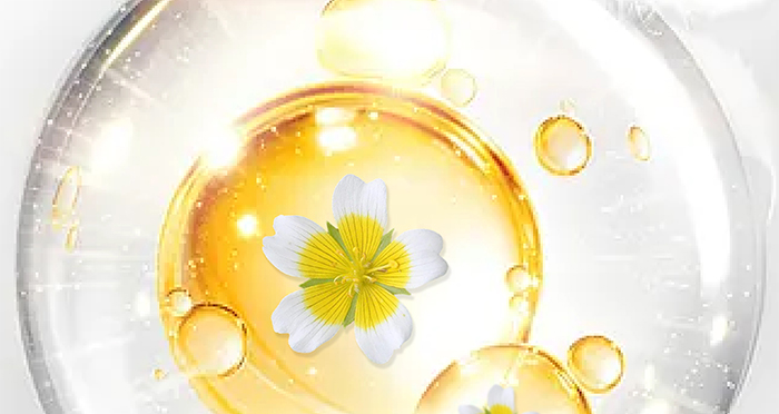 ����ؽM�zԭ�׳ػ��㝙(r��n)������Һ